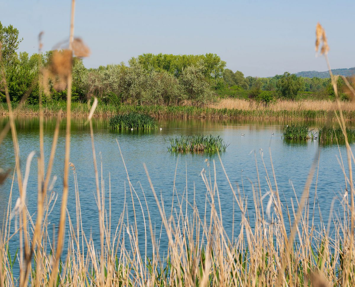 Compromiso ambiental